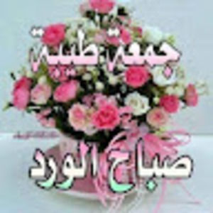 Meet your Posher, Nasira